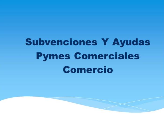 Ayudas para la inversión en modernización e innovación de las Pymes ...